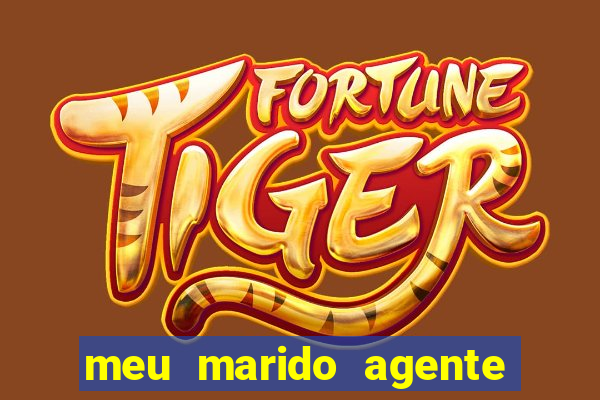 meu marido agente secreto torrent